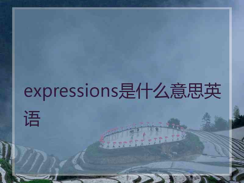 expressions是什么意思英语