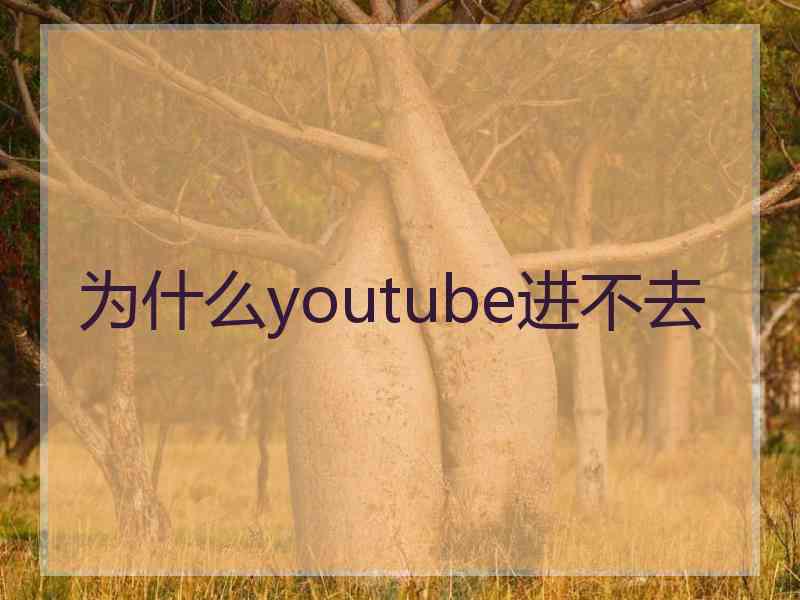 为什么youtube进不去