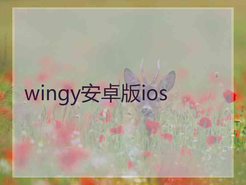 wingy安卓版ios