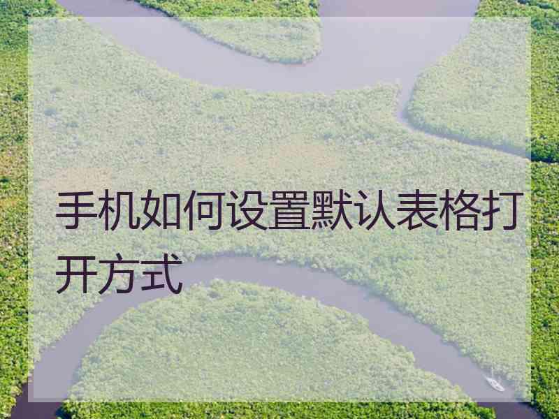 手机如何设置默认表格打开方式