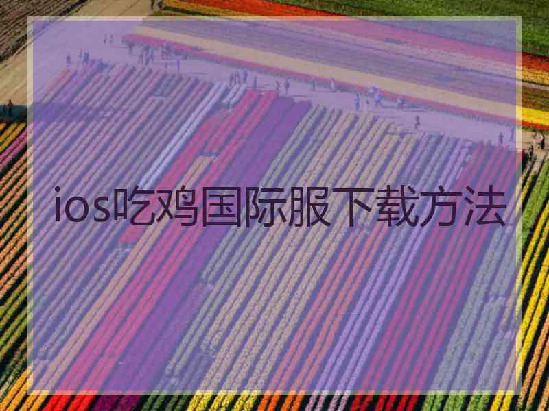 ios吃鸡国际服下载方法