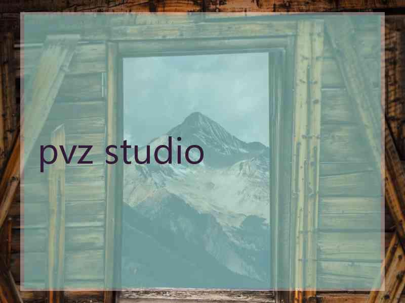 pvz studio