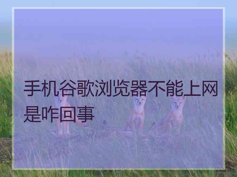 手机谷歌浏览器不能上网是咋回事