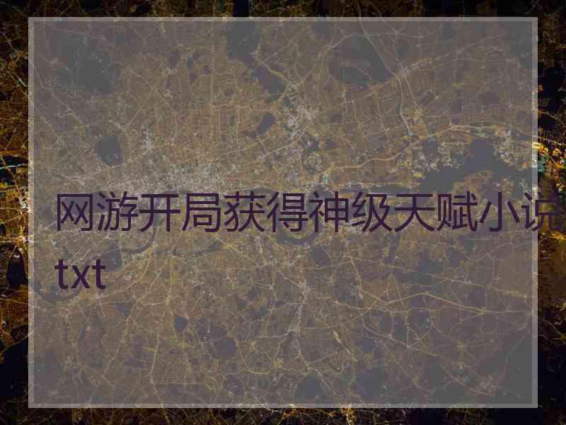 网游开局获得神级天赋小说txt