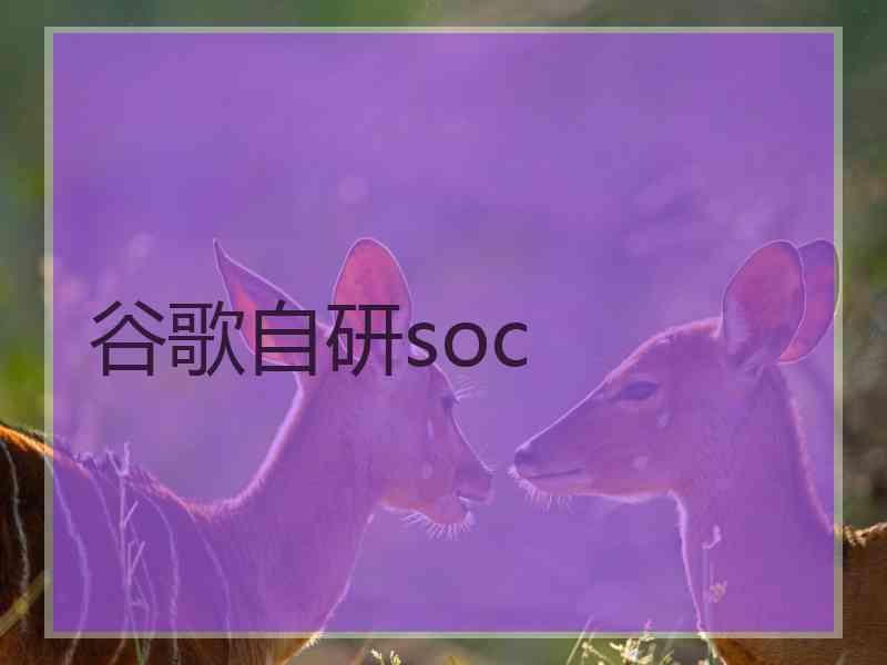 谷歌自研soc