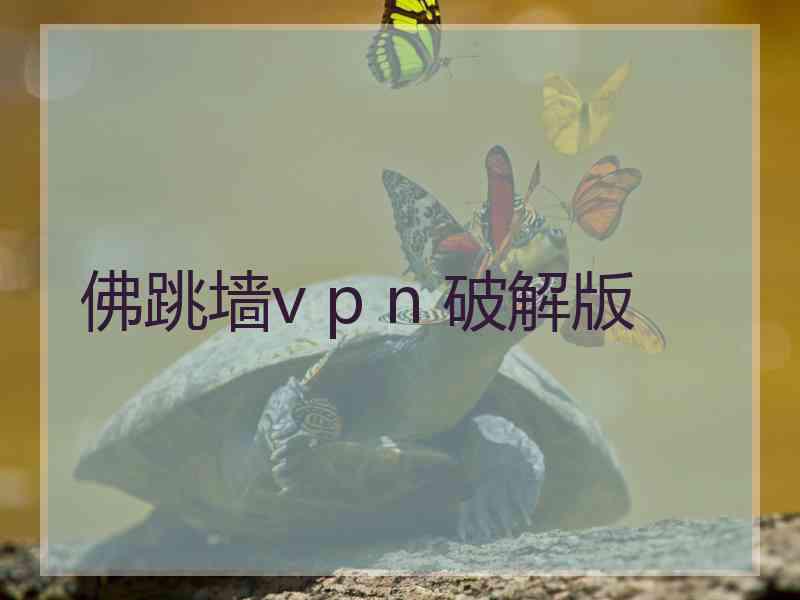 佛跳墙v p n 破解版