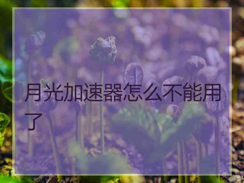 月光加速器怎么不能用了