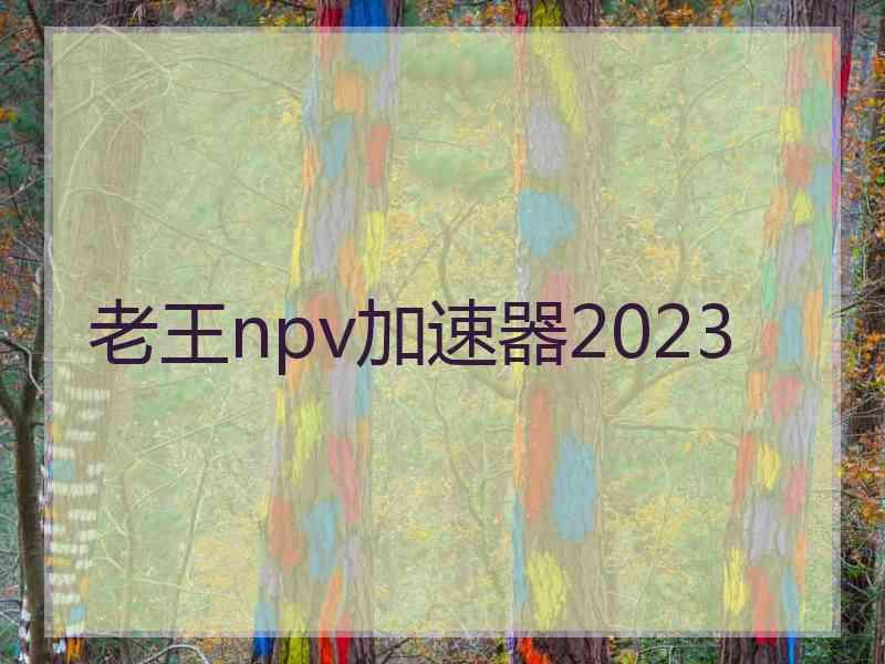 老王npv加速器2023