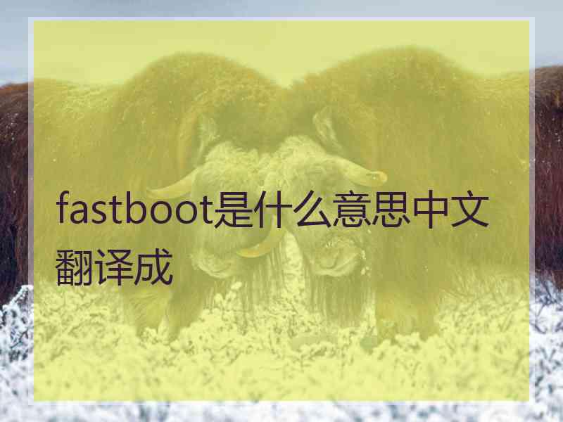 fastboot是什么意思中文翻译成