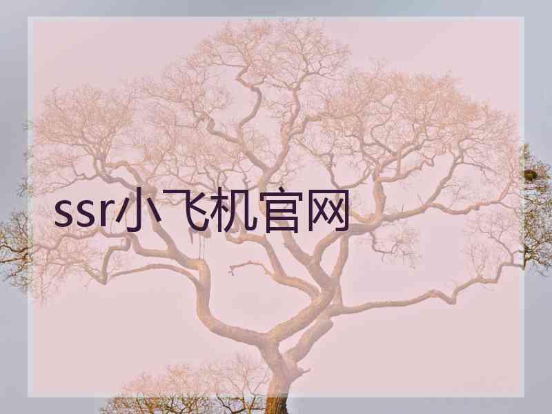 ssr小飞机官网