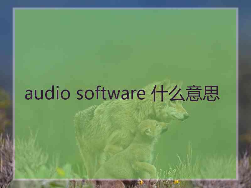 audio software 什么意思