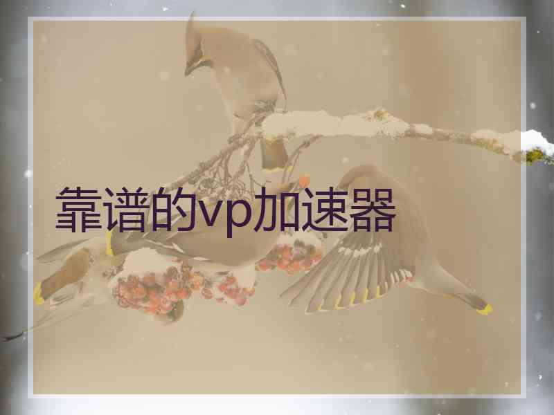 靠谱的vp加速器