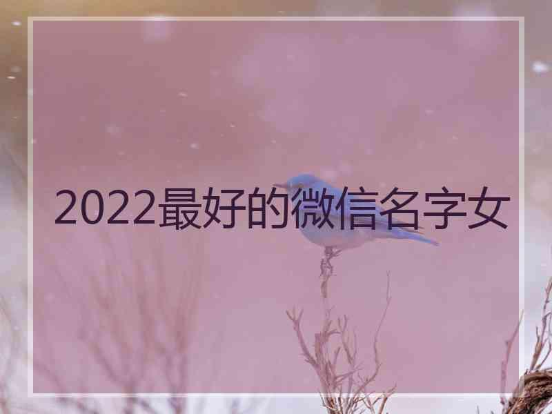 2022最好的微信名字女