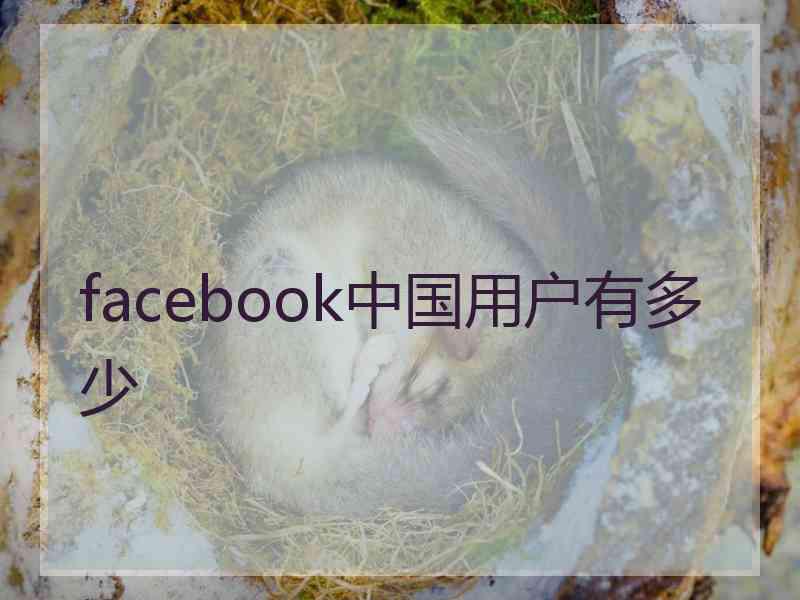 facebook中国用户有多少