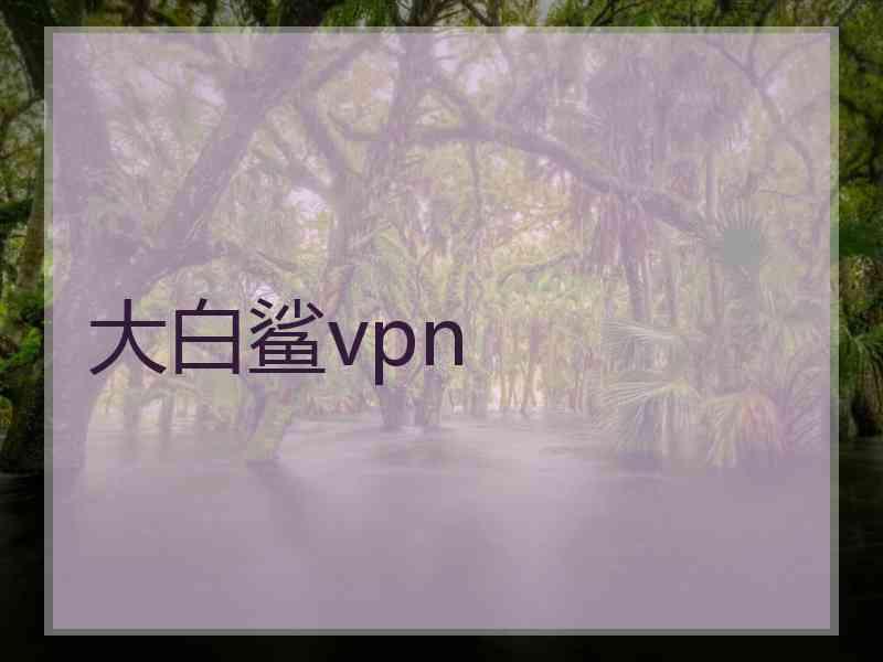 大白鲨vpn