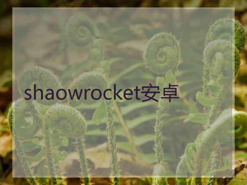 shaowrocket安卓