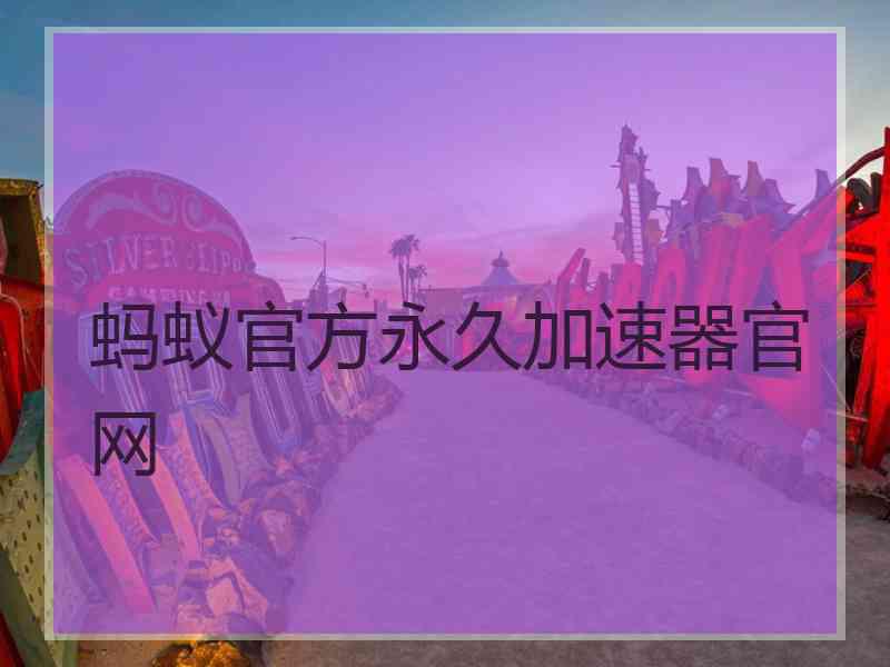 蚂蚁官方永久加速器官网