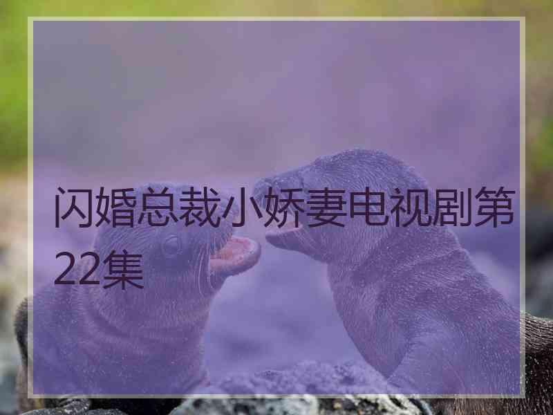 闪婚总裁小娇妻电视剧第22集