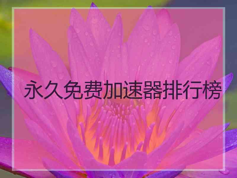 永久免费加速器排行榜