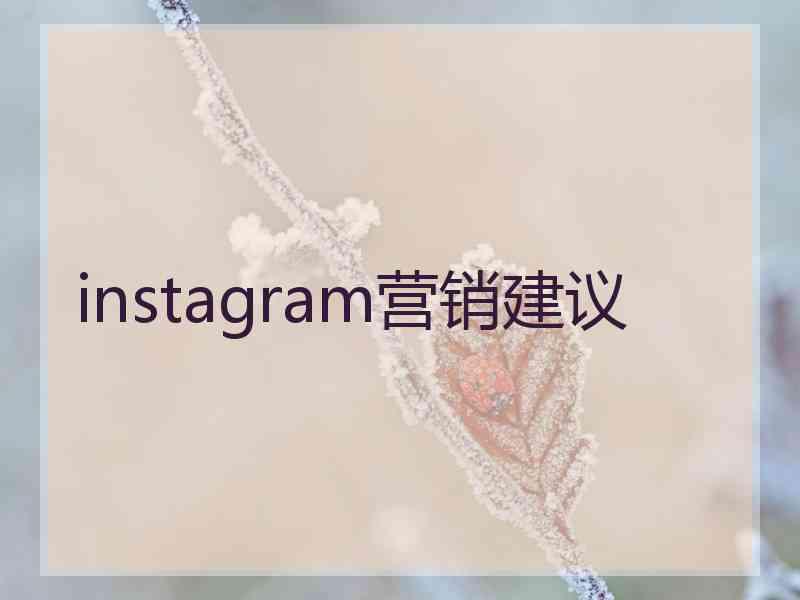 instagram营销建议