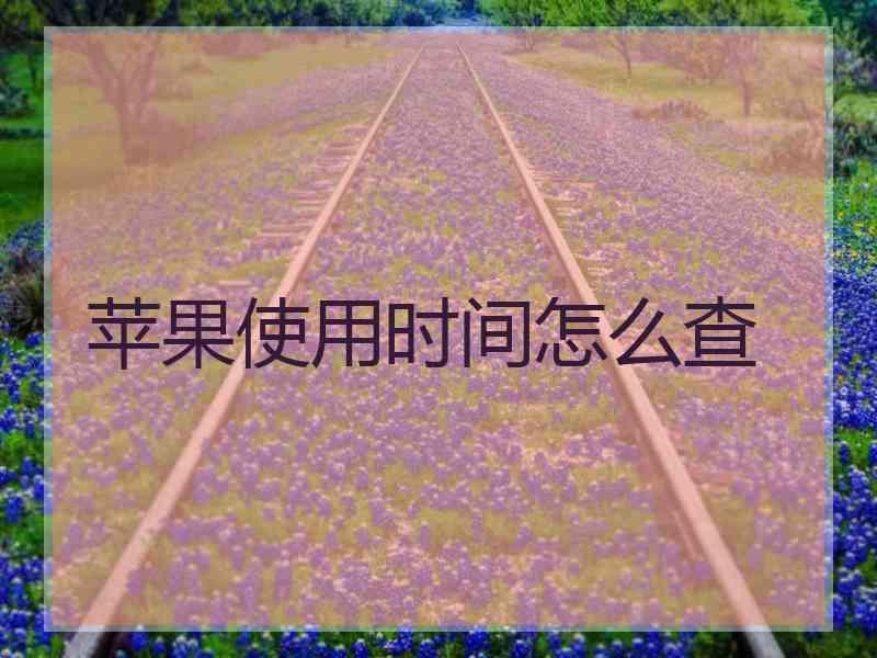 苹果使用时间怎么查