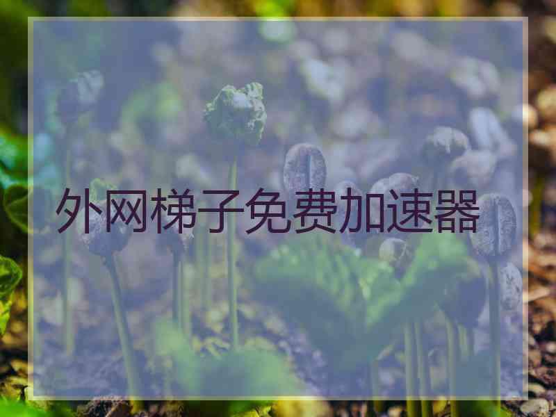 外网梯子免费加速器