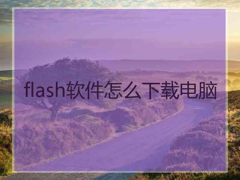 flash软件怎么下载电脑