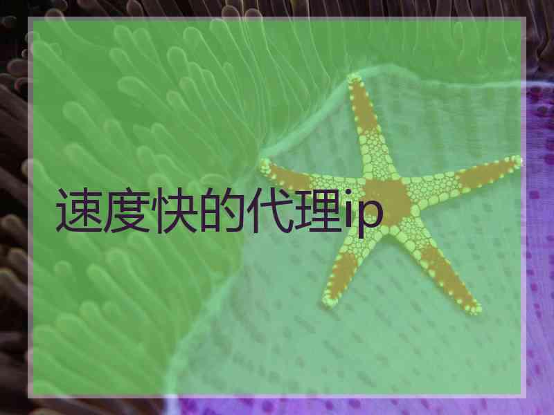 速度快的代理ip