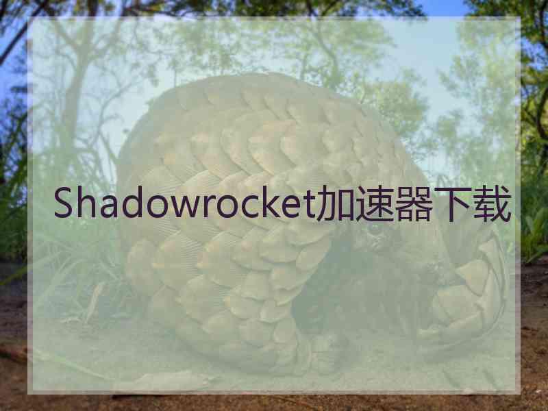 Shadowrocket加速器下载