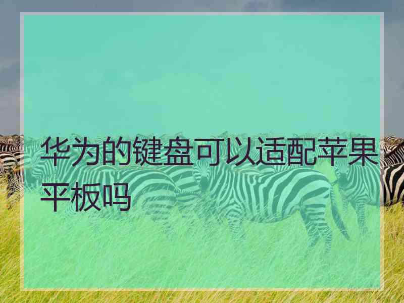 华为的键盘可以适配苹果平板吗