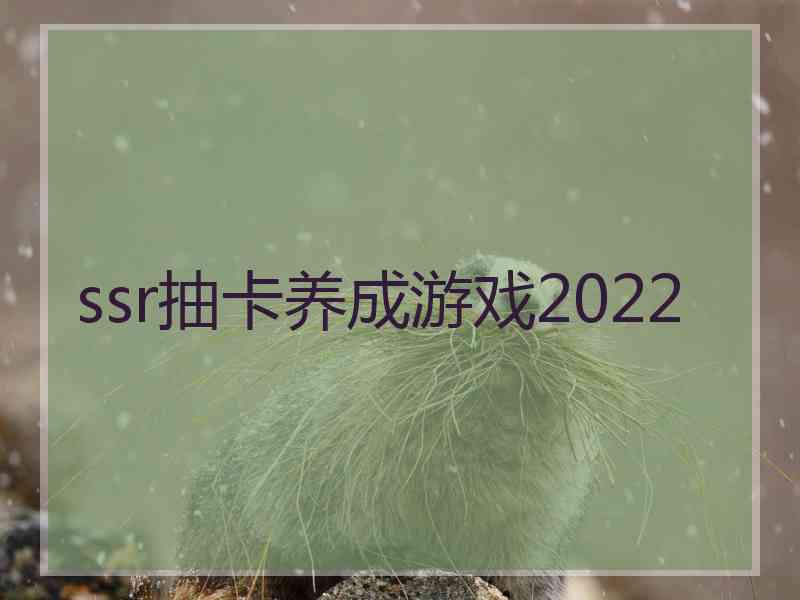 ssr抽卡养成游戏2022