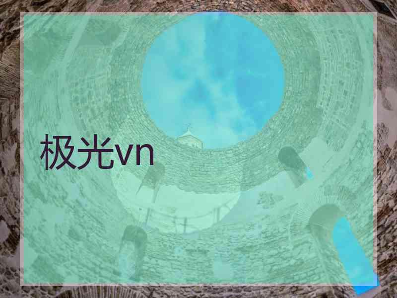 极光vn