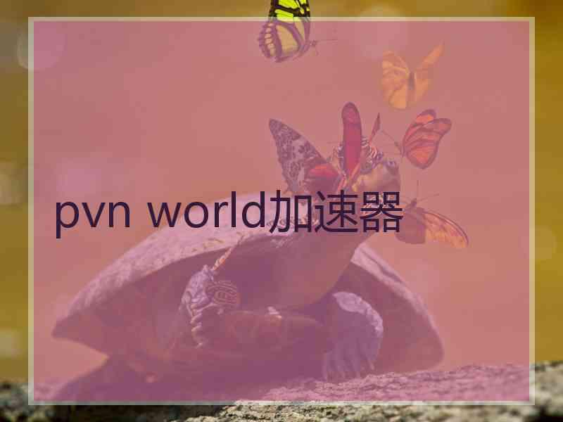 pvn world加速器