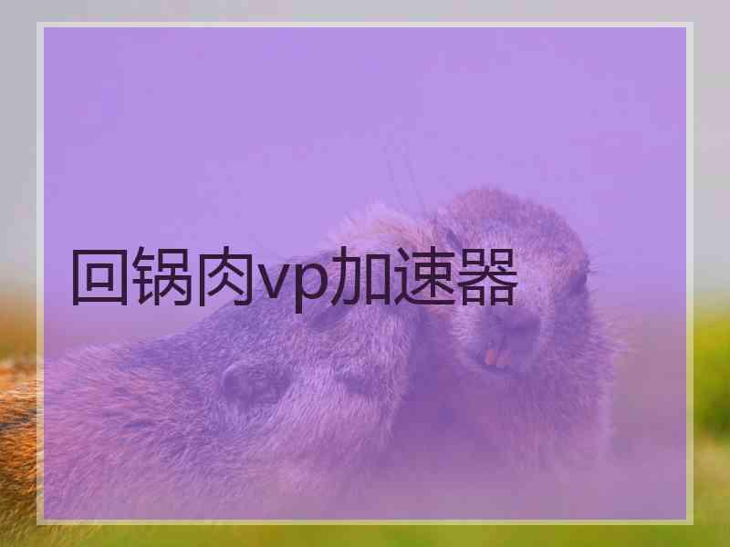 回锅肉vp加速器