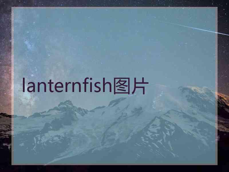 lanternfish图片