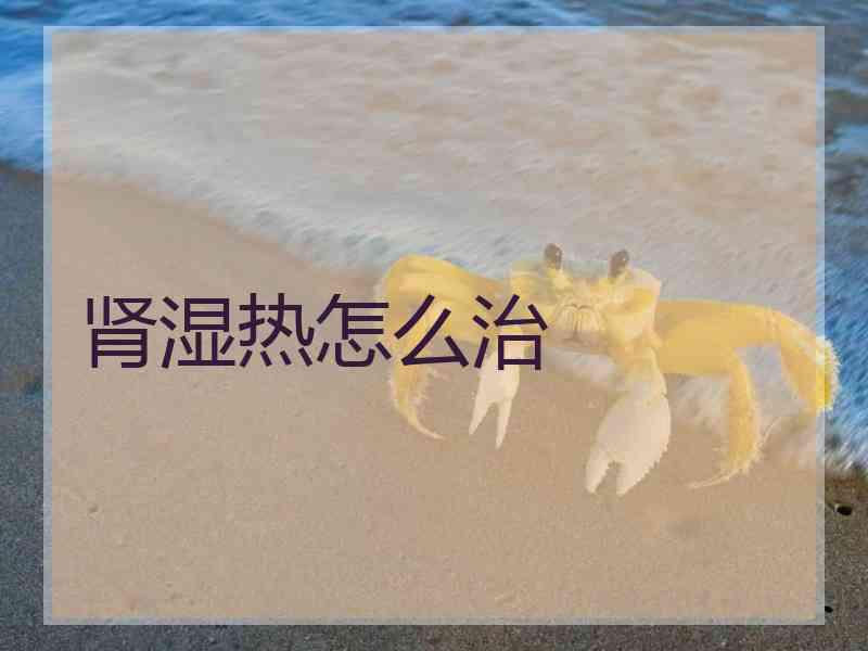 肾湿热怎么治