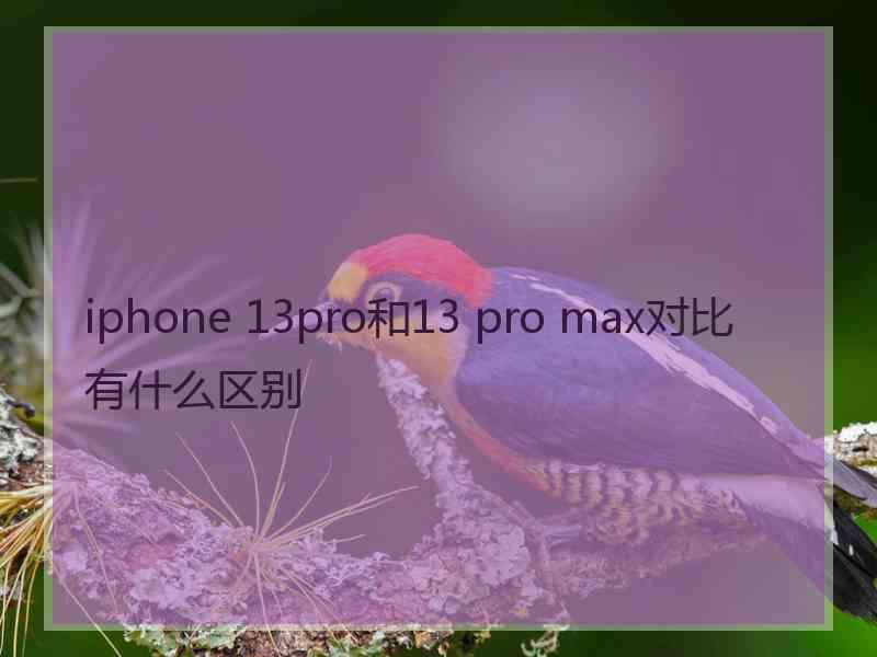 iphone 13pro和13 pro max对比有什么区别