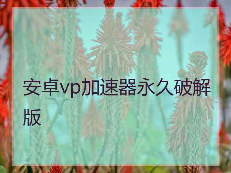 安卓vp加速器永久破解版