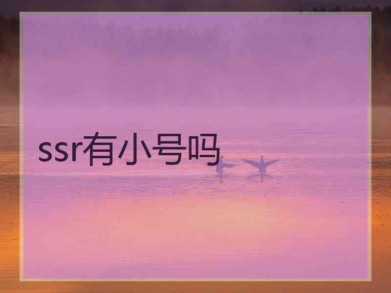 ssr有小号吗