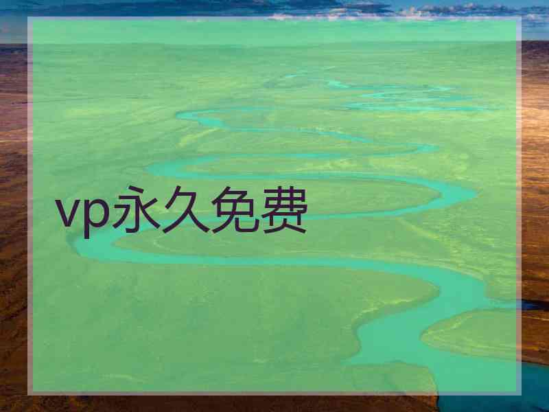 vp永久免费