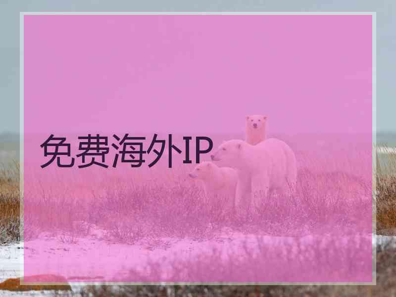 免费海外IP