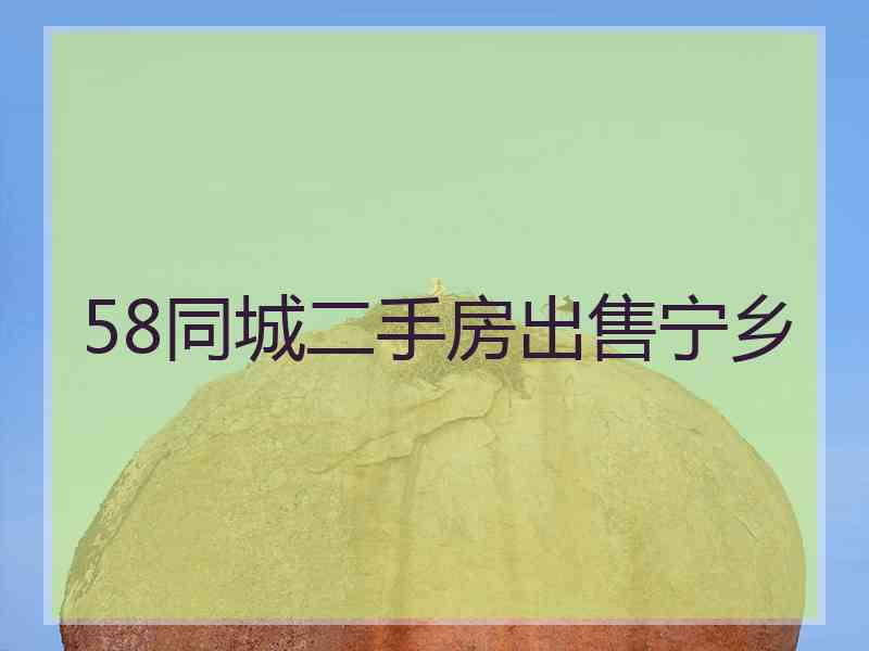 58同城二手房出售宁乡