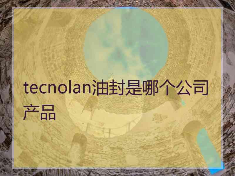 tecnolan油封是哪个公司产品