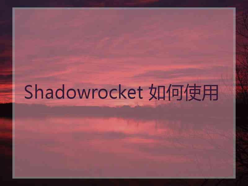 Shadowrocket 如何使用