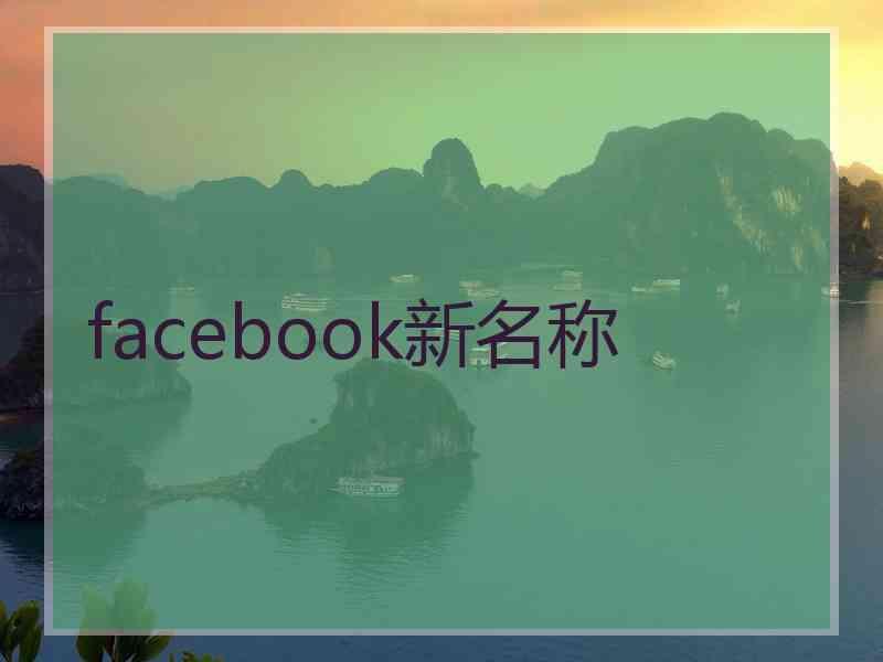 facebook新名称