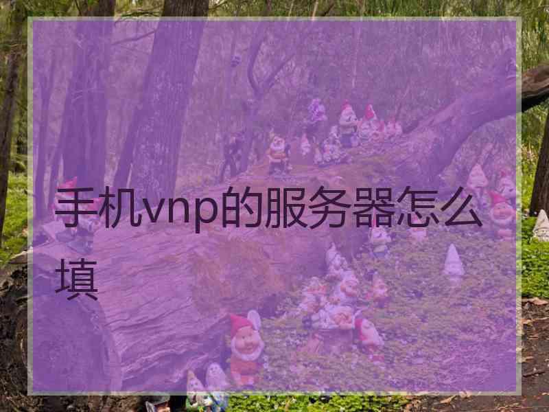 手机vnp的服务器怎么填