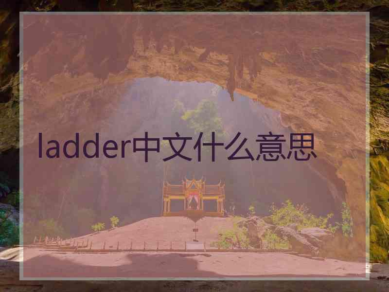 ladder中文什么意思