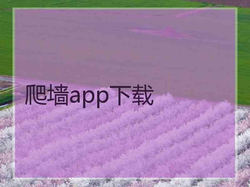 爬墙app下载