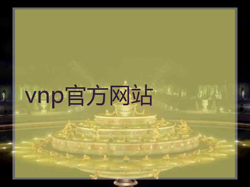 vnp官方网站