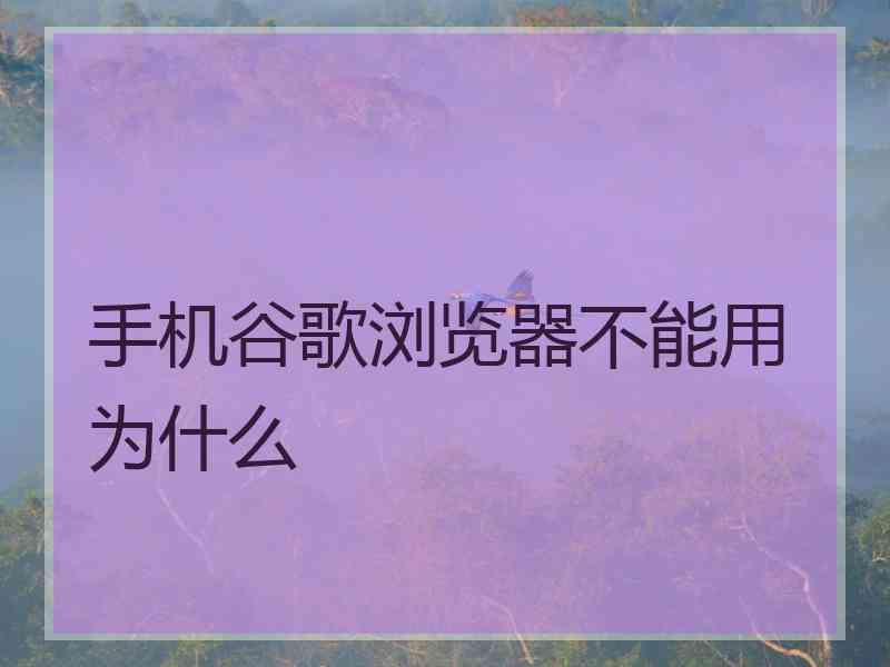 手机谷歌浏览器不能用为什么